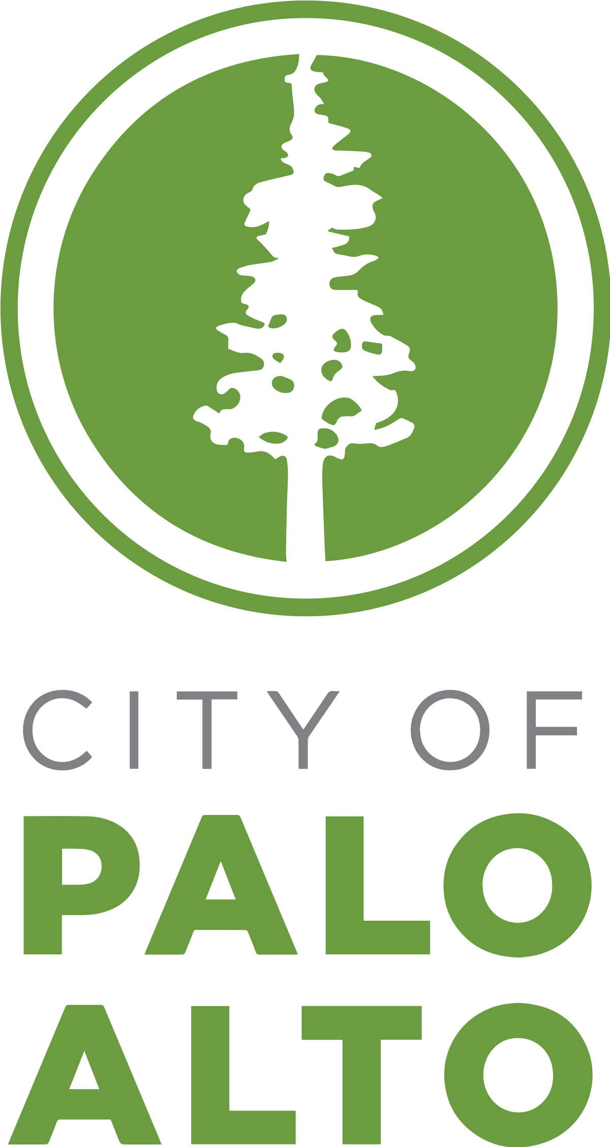 Palo Alto Logo Color Transparent Stacked